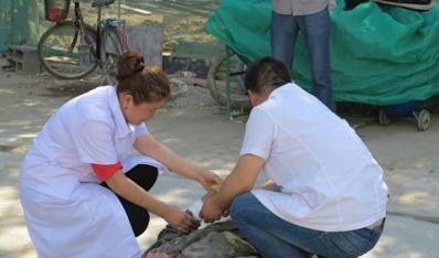 ���ͺ���ס���ֿ�չ���ø߿�׹���¹�����