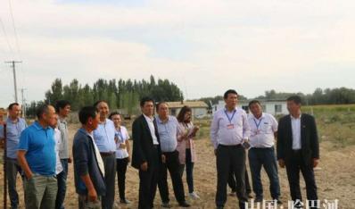 ���ͺ���������ľ���˴����Ѳ����̬��������